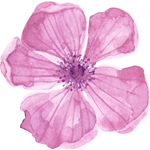 Bloem 1